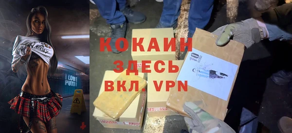 соль ск Алексин