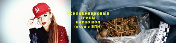 соль ск Алексин