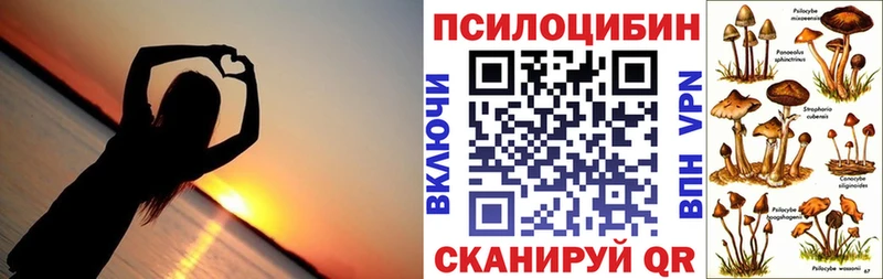 Псилоцибиновые грибы Psilocybine cubensis Нефтекамск